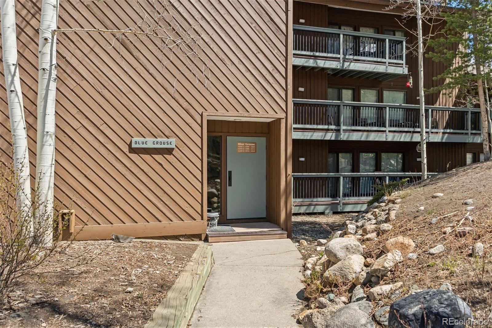 MLS Image #21 for 423  wild irishman road,dillon, Colorado