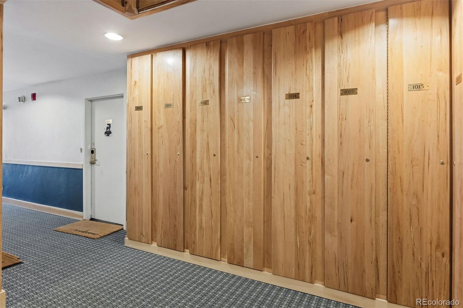 MLS Image #23 for 423  wild irishman road,dillon, Colorado