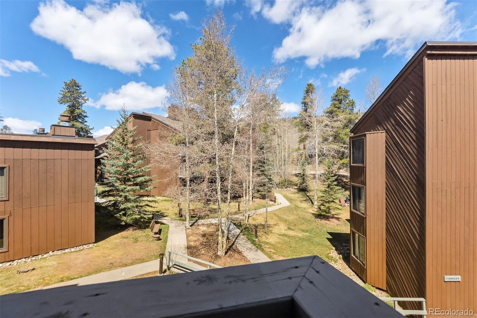 MLS Image #29 for 423  wild irishman road,dillon, Colorado