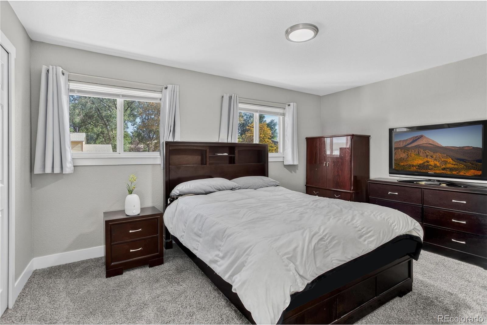 MLS Image #7 for 3905  colony hills circle,colorado springs, Colorado
