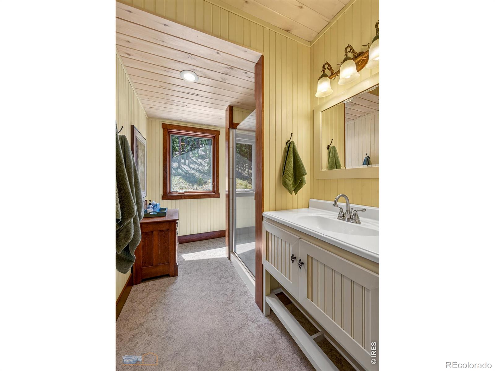 MLS Image #20 for 942  spruce drive,lyons, Colorado