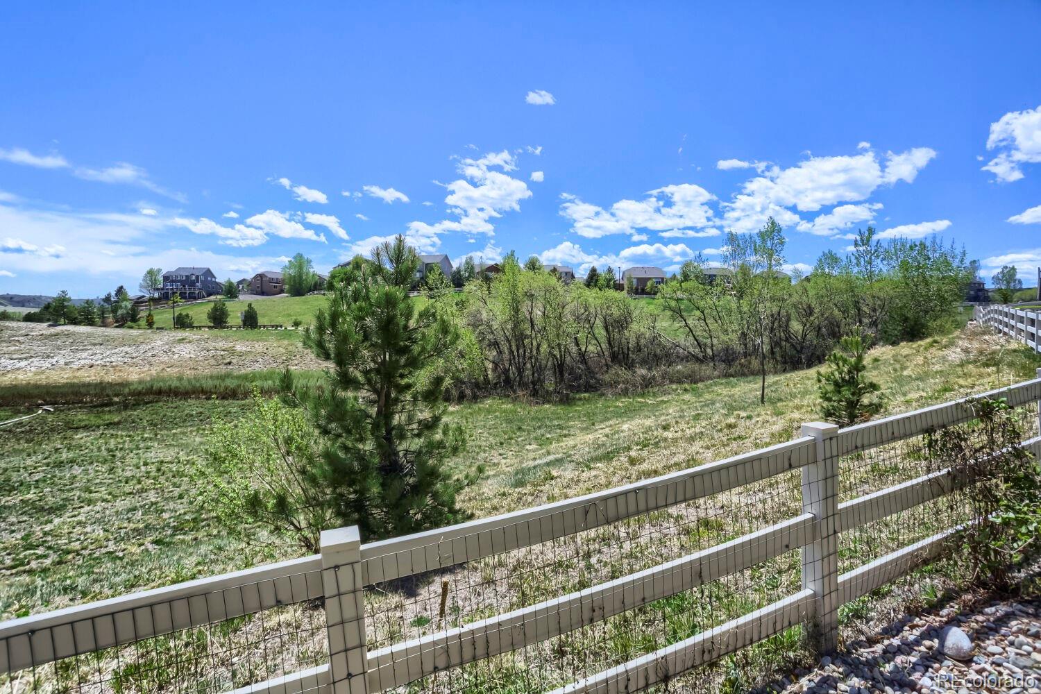 MLS Image #26 for 2728  garganey drive,castle rock, Colorado