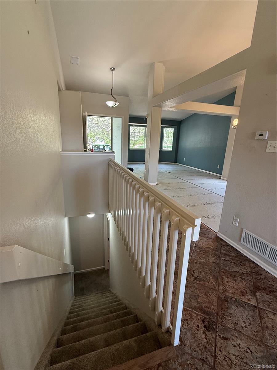 MLS Image #12 for 4788  falcon drive,longmont, Colorado