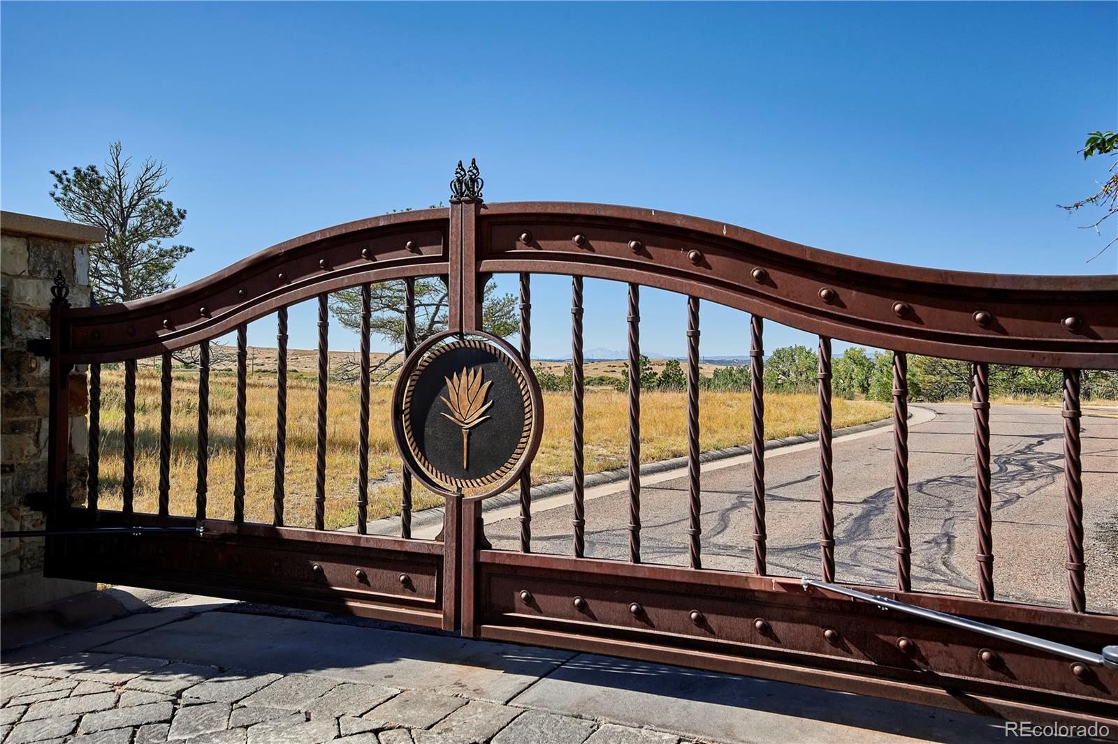 MLS Image #24 for 7939  painted pine street,parker, Colorado