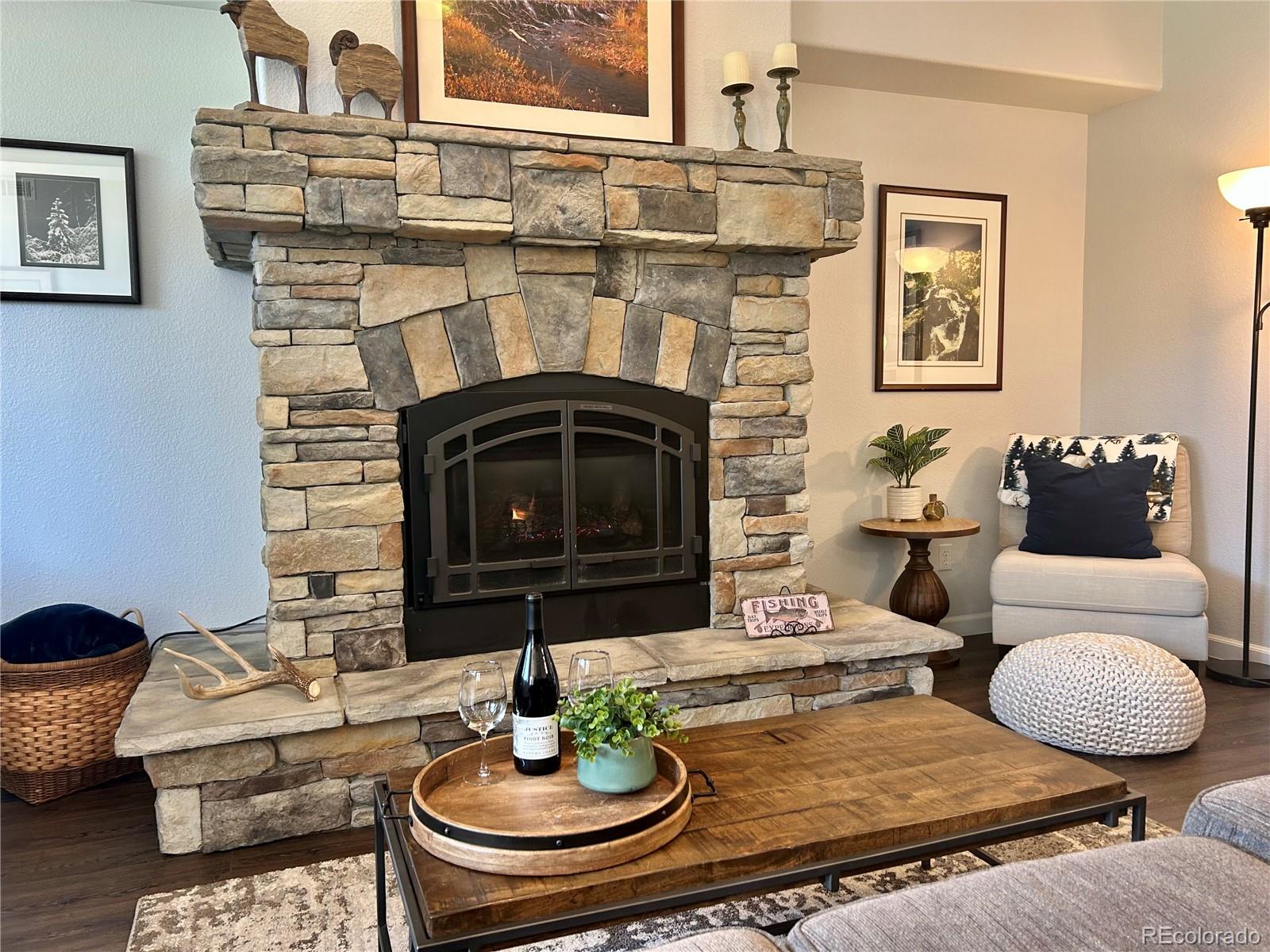 MLS Image #10 for 114  robin drive,silverthorne, Colorado