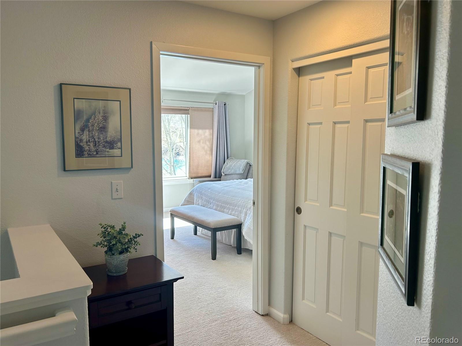 MLS Image #16 for 114  robin drive,silverthorne, Colorado