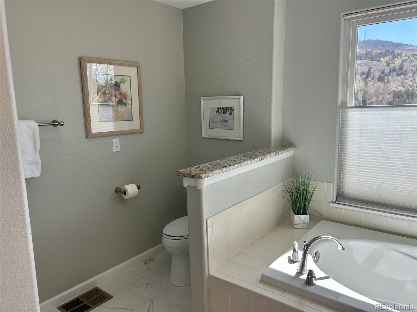 MLS Image #24 for 114  robin drive,silverthorne, Colorado