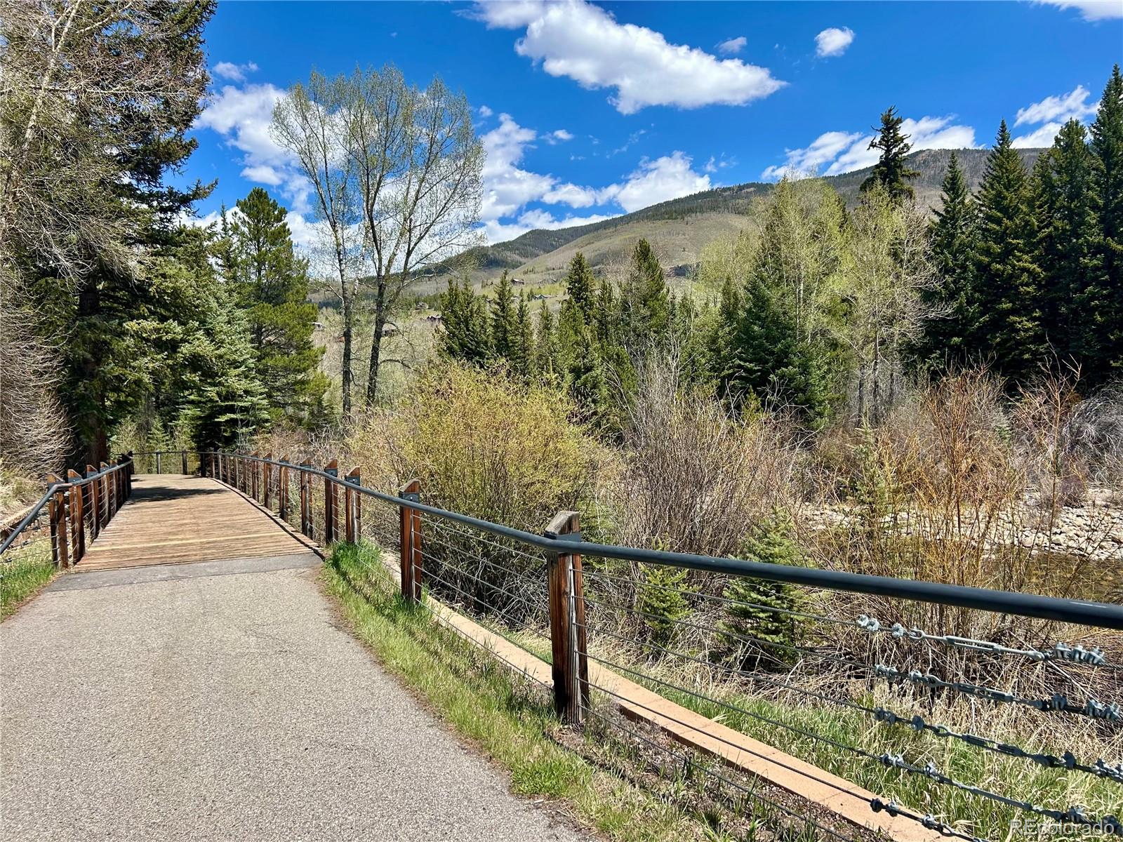 MLS Image #43 for 114  robin drive,silverthorne, Colorado