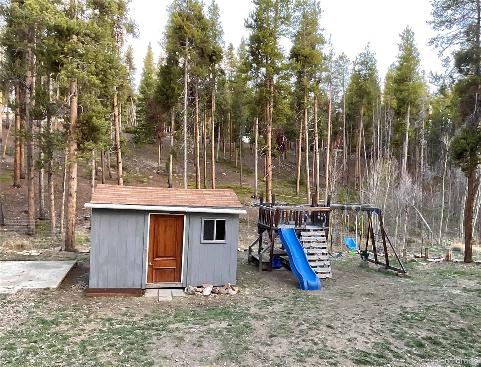 MLS Image #5 for 1776  county road 4 ,leadville, Colorado