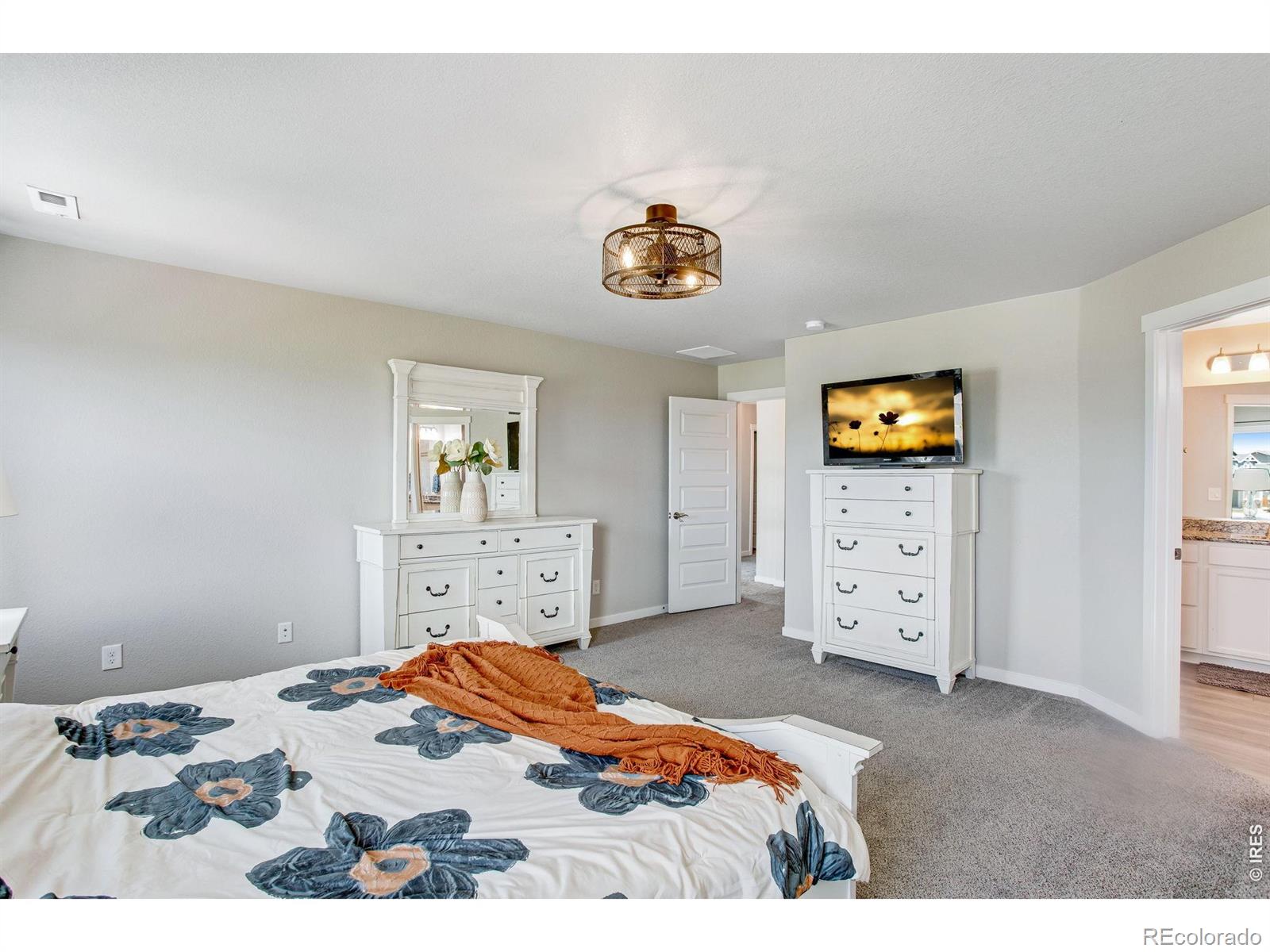 MLS Image #22 for 2277  pineywoods street,mead, Colorado