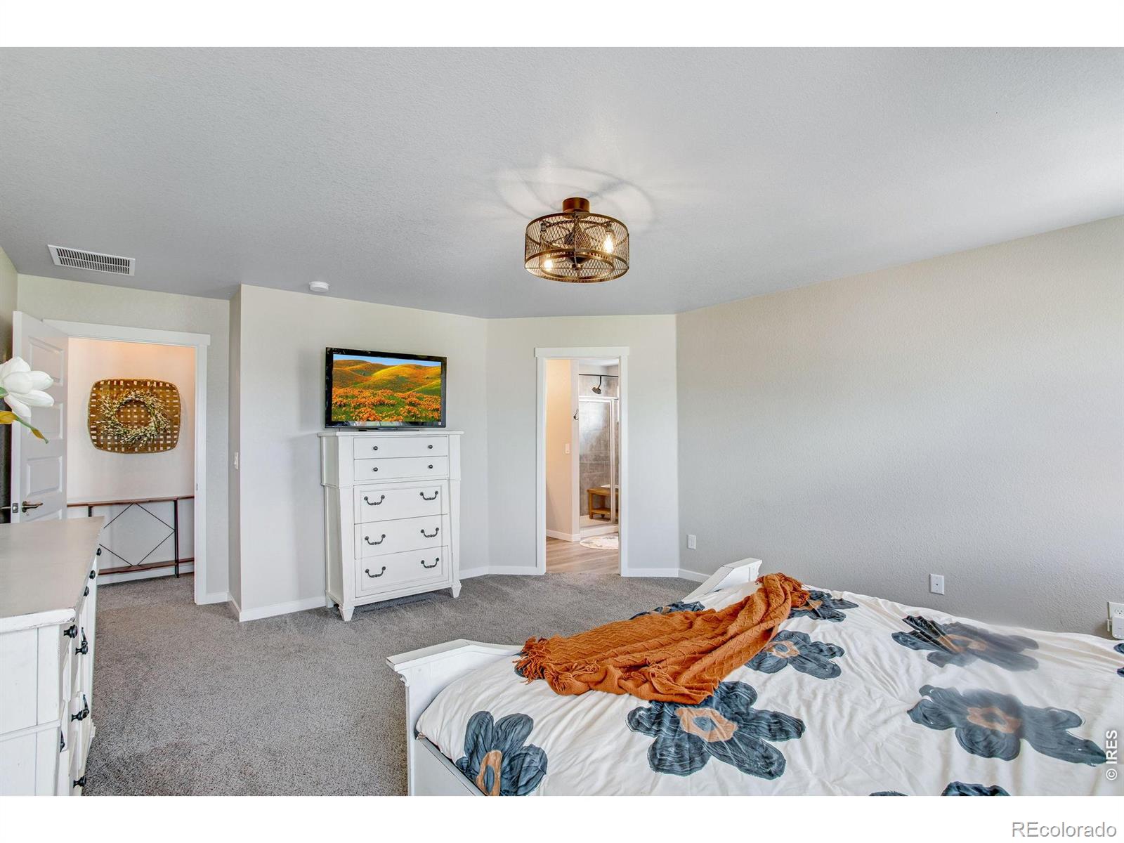 MLS Image #23 for 2277  pineywoods street,mead, Colorado