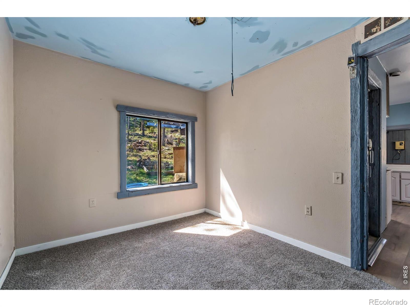 MLS Image #22 for 151  columbine drive,red feather lakes, Colorado