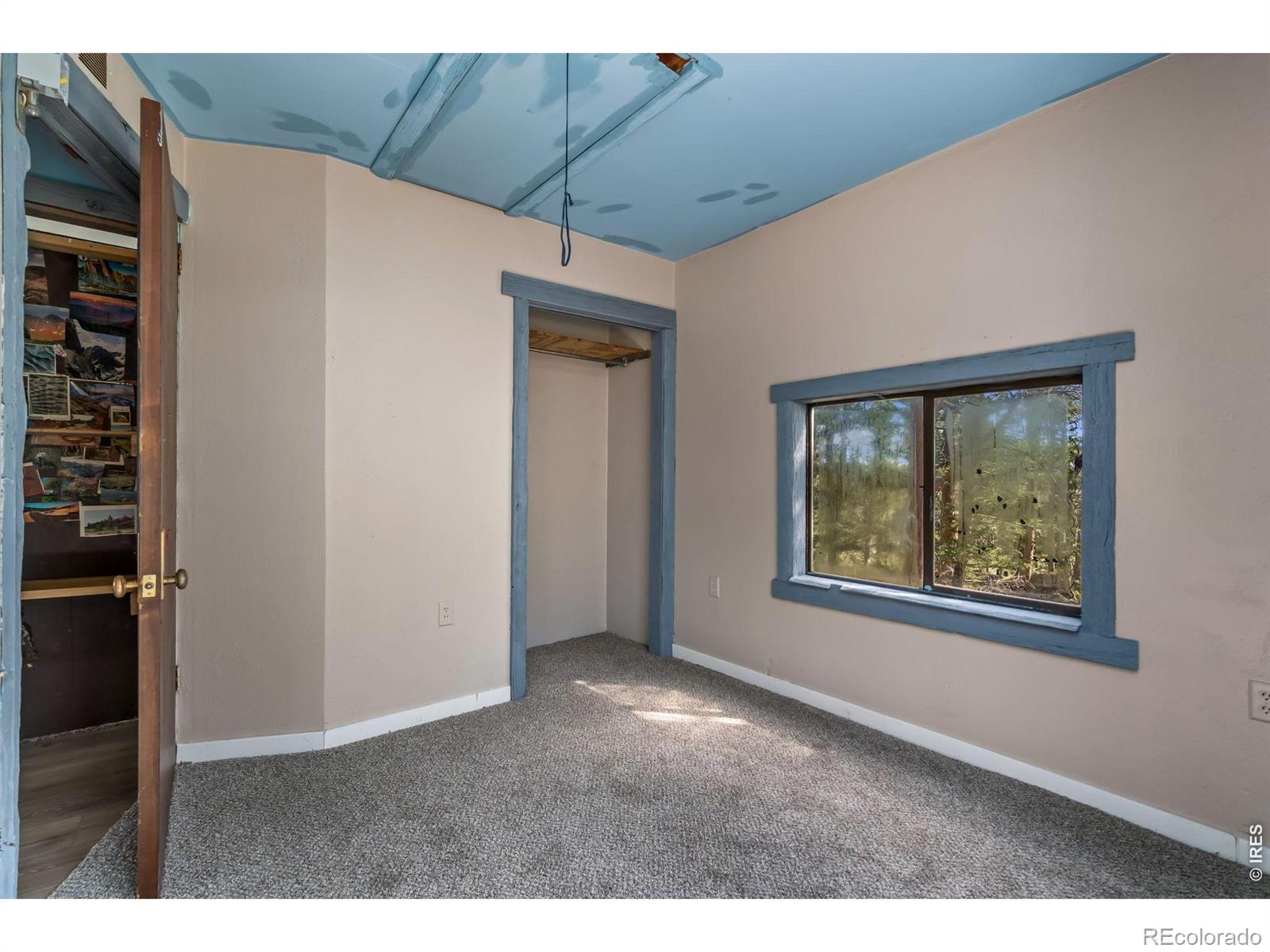 MLS Image #23 for 151  columbine drive,red feather lakes, Colorado