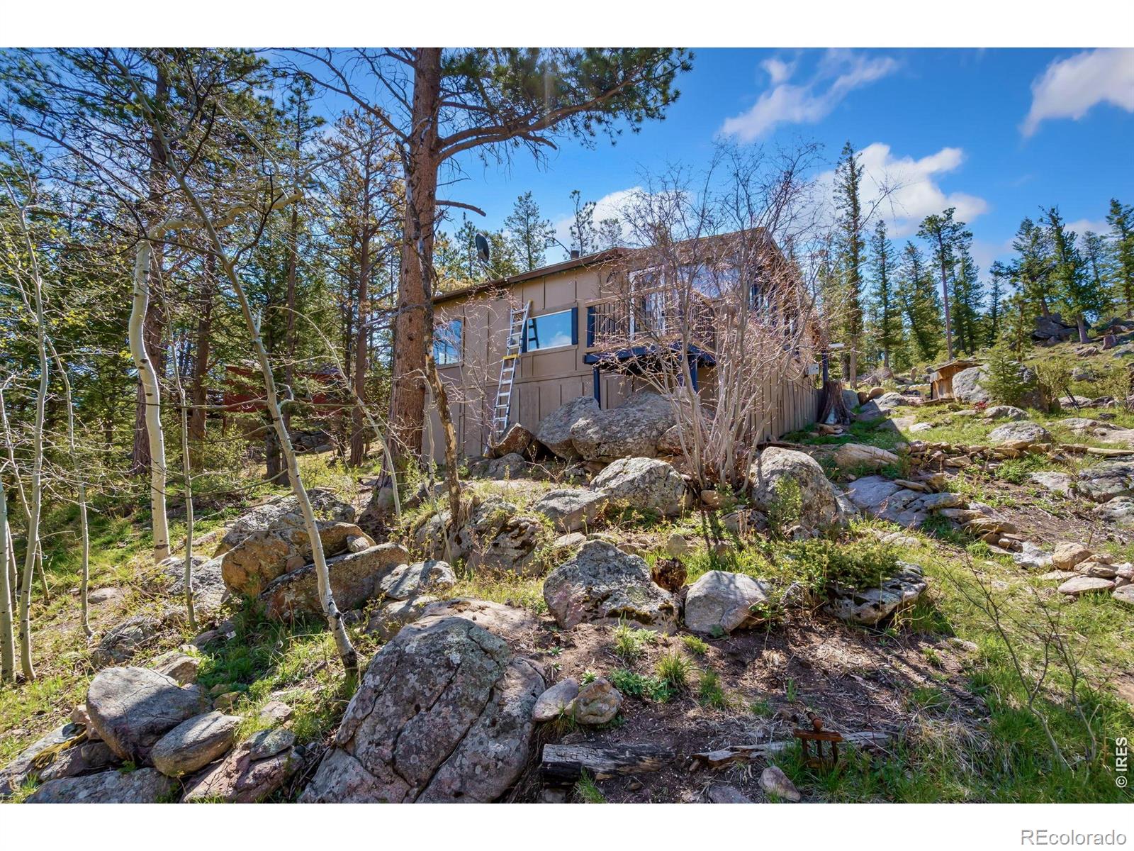 MLS Image #26 for 151  columbine drive,red feather lakes, Colorado