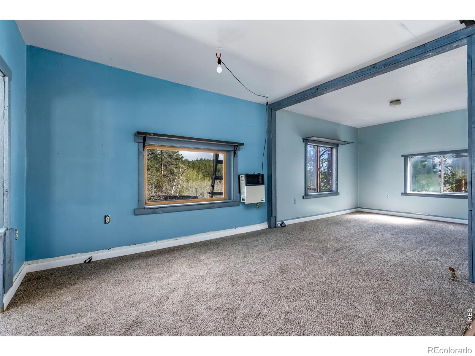 MLS Image #6 for 151  columbine drive,red feather lakes, Colorado
