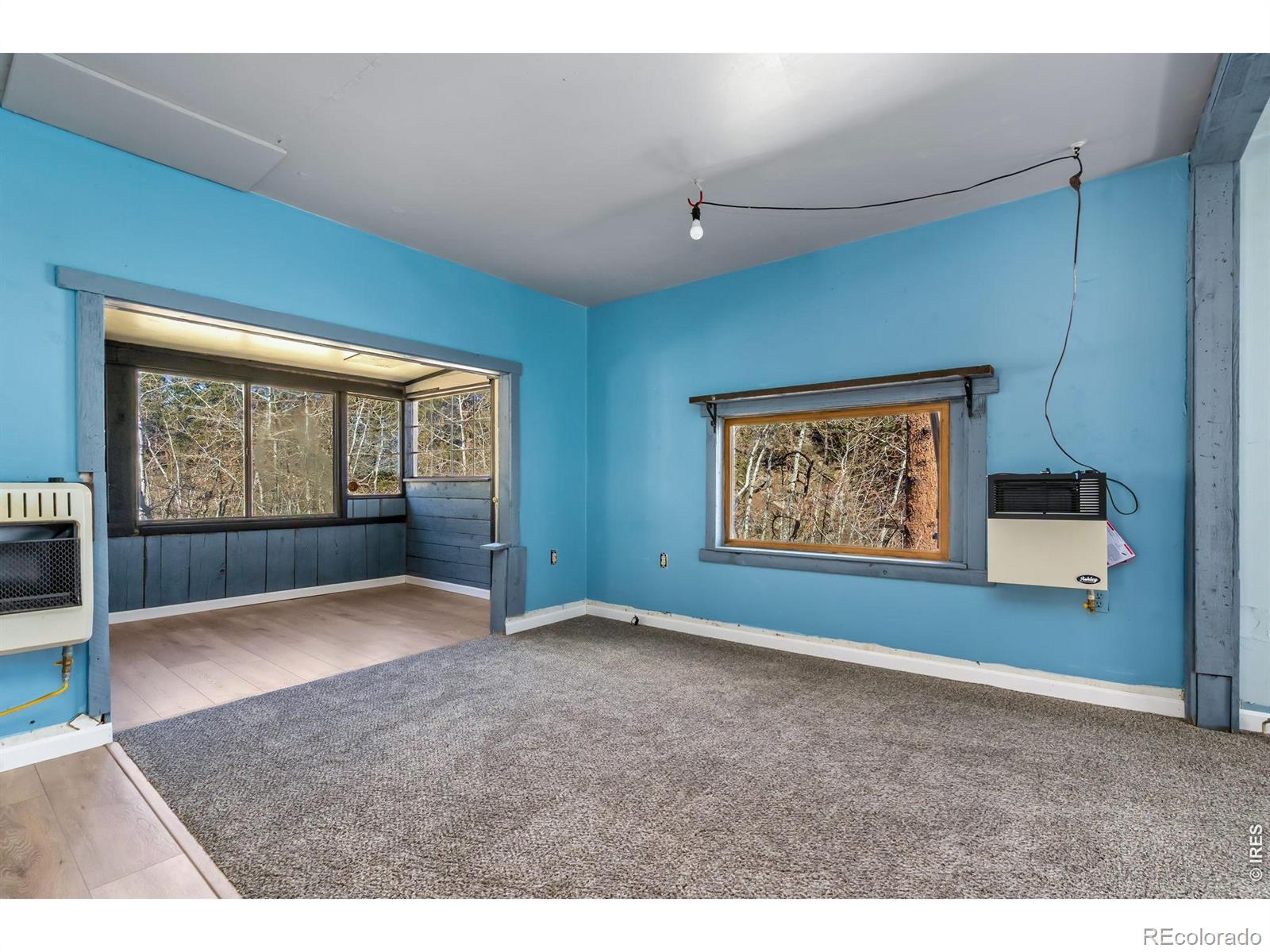 MLS Image #7 for 151  columbine drive,red feather lakes, Colorado