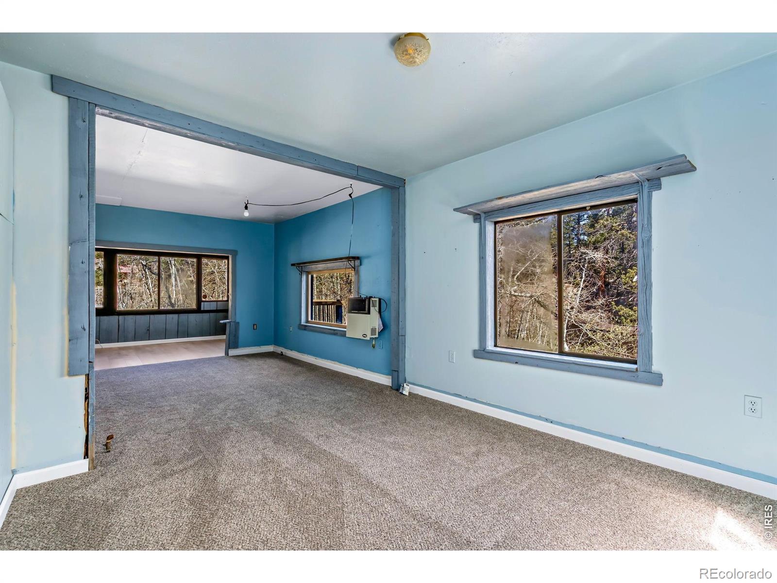 MLS Image #9 for 151  columbine drive,red feather lakes, Colorado