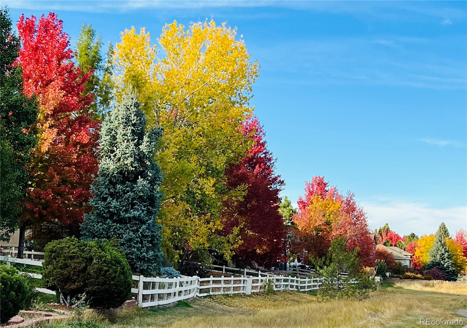 MLS Image #36 for 14090  turnberry court,broomfield, Colorado