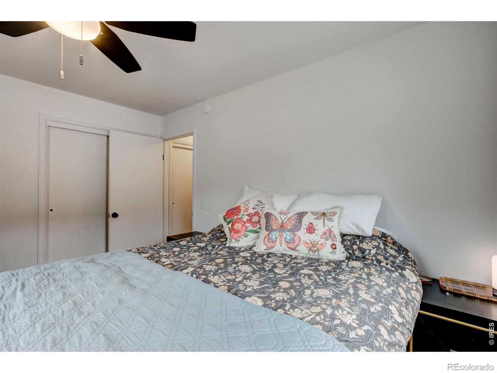 MLS Image #15 for 550 w elkhorn avenue,estes park, Colorado