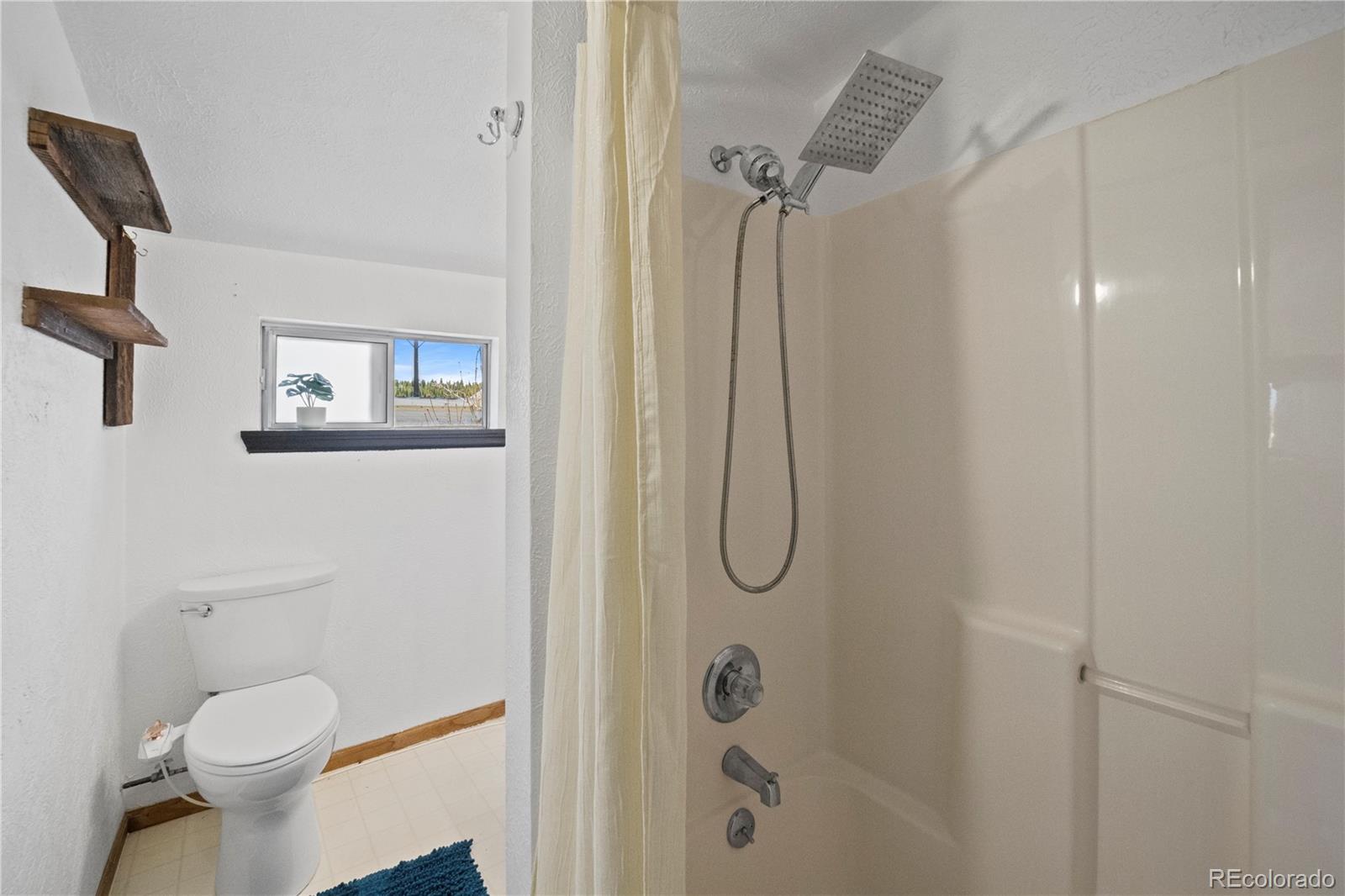 MLS Image #12 for 307  elm street,leadville, Colorado