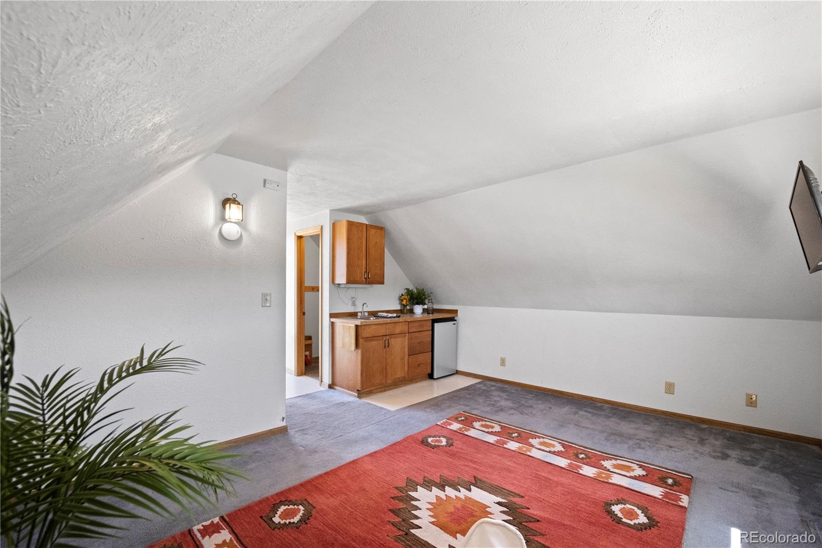 MLS Image #18 for 307  elm street,leadville, Colorado