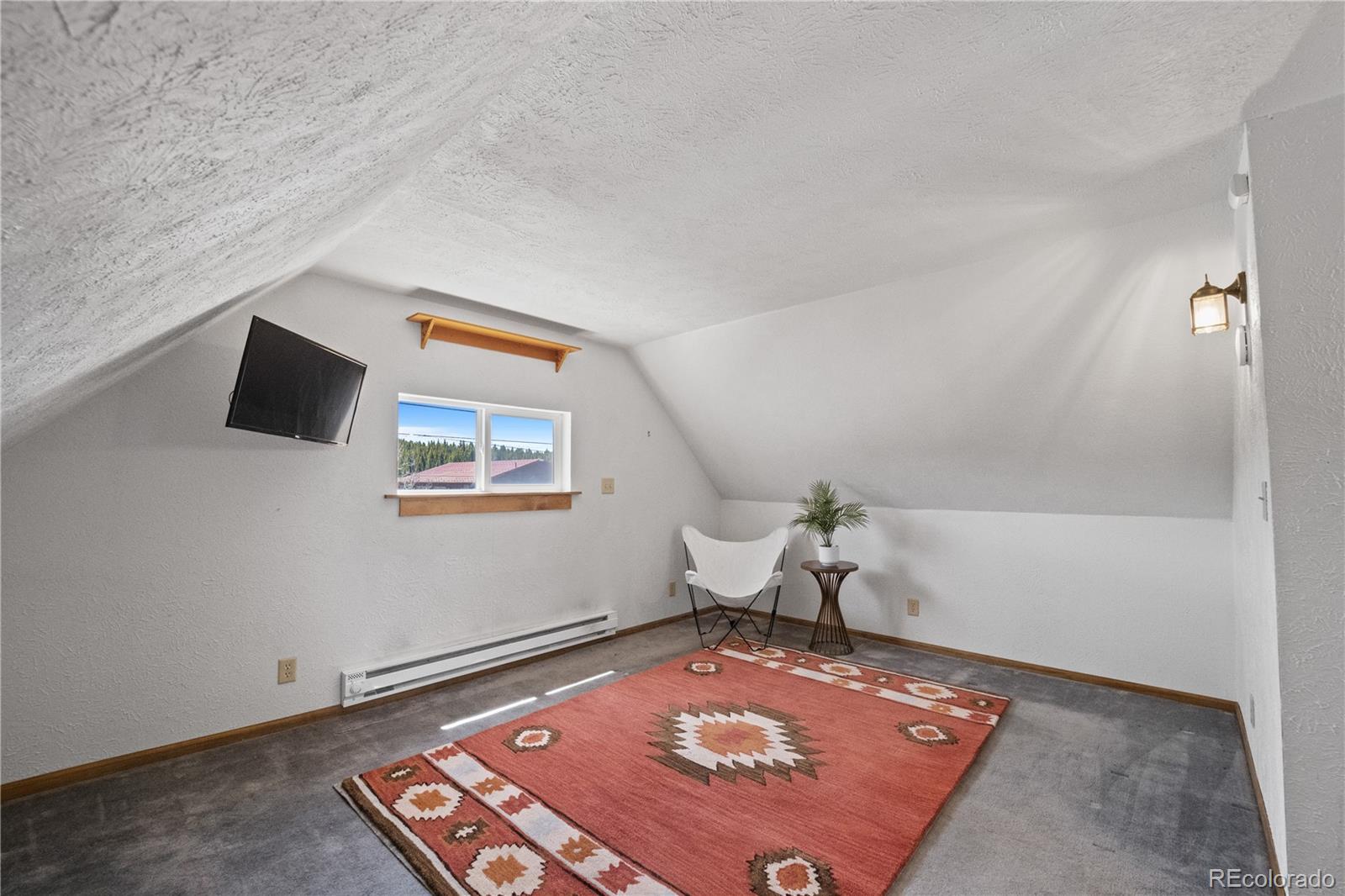 MLS Image #19 for 307  elm street,leadville, Colorado