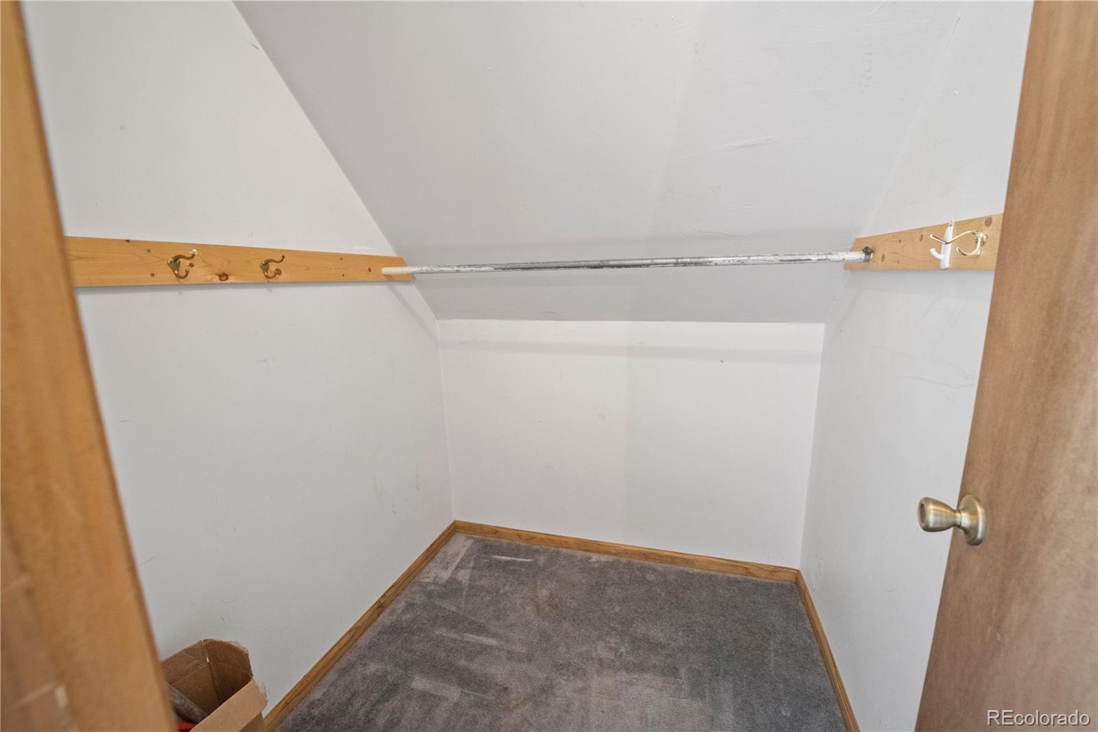 MLS Image #20 for 307  elm street,leadville, Colorado