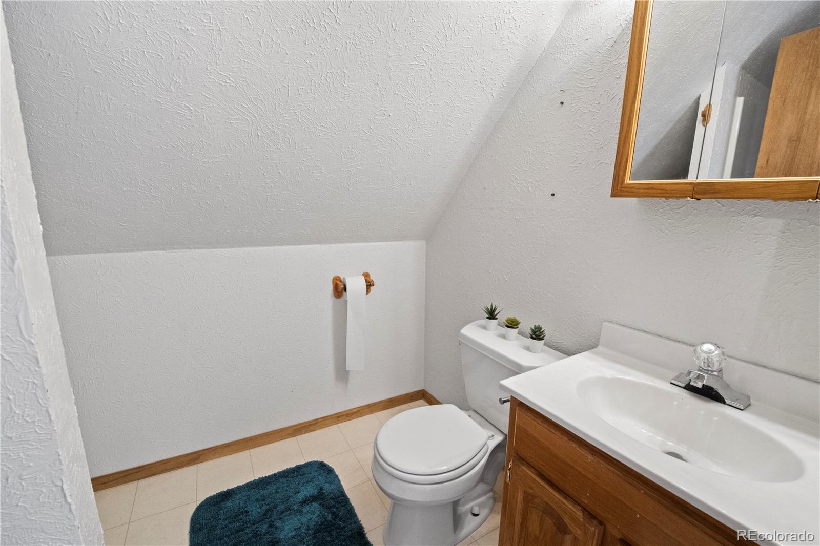 MLS Image #22 for 307  elm street,leadville, Colorado