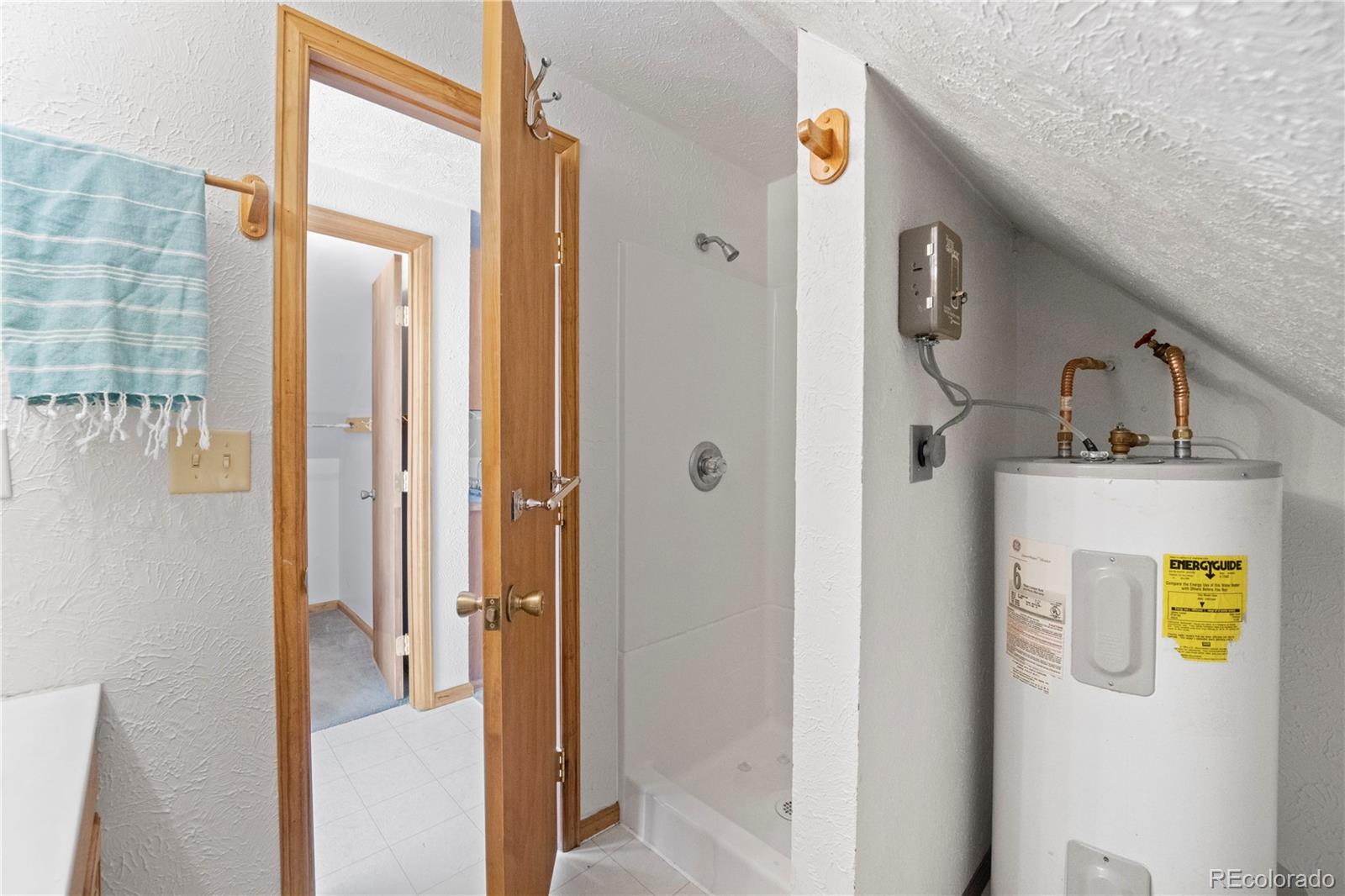 MLS Image #23 for 307  elm street,leadville, Colorado