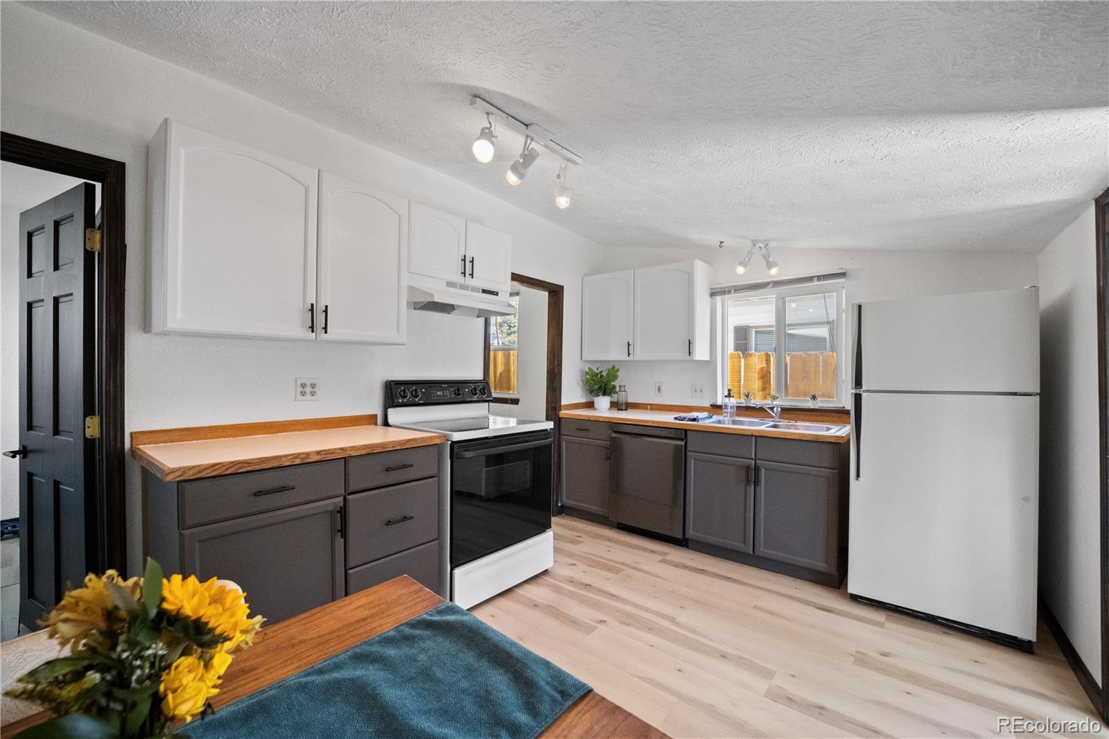 MLS Image #9 for 307  elm street,leadville, Colorado