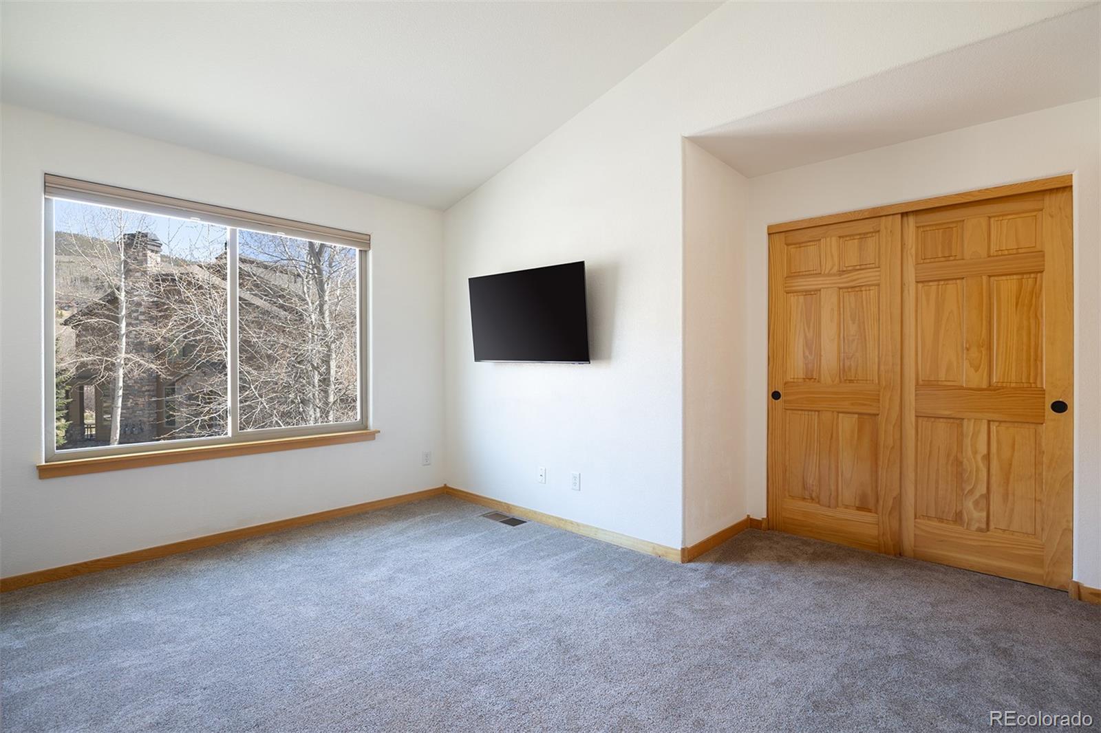 MLS Image #24 for 170  allegra drive,silverthorne, Colorado
