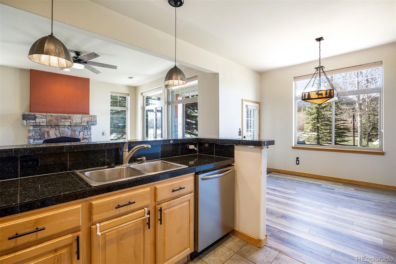 MLS Image #9 for 170  allegra drive,silverthorne, Colorado