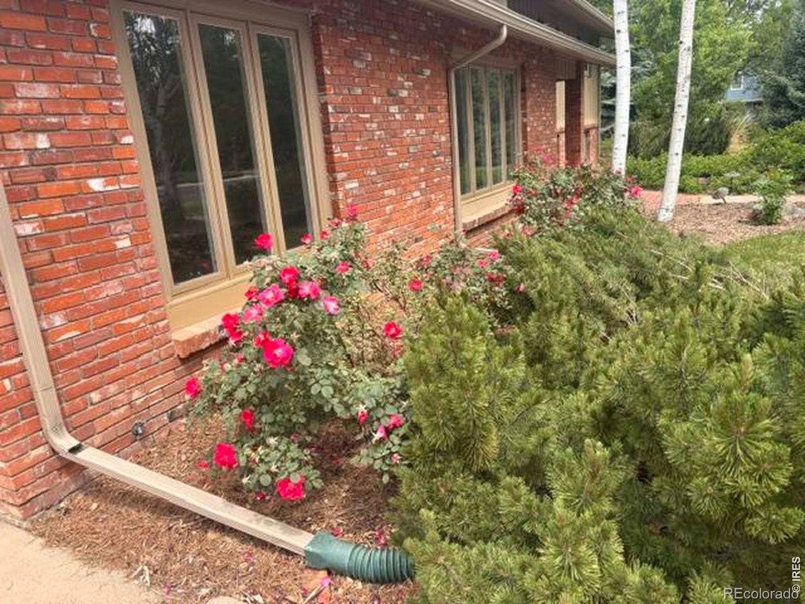 MLS Image #21 for 1409  meeker drive,fort collins, Colorado