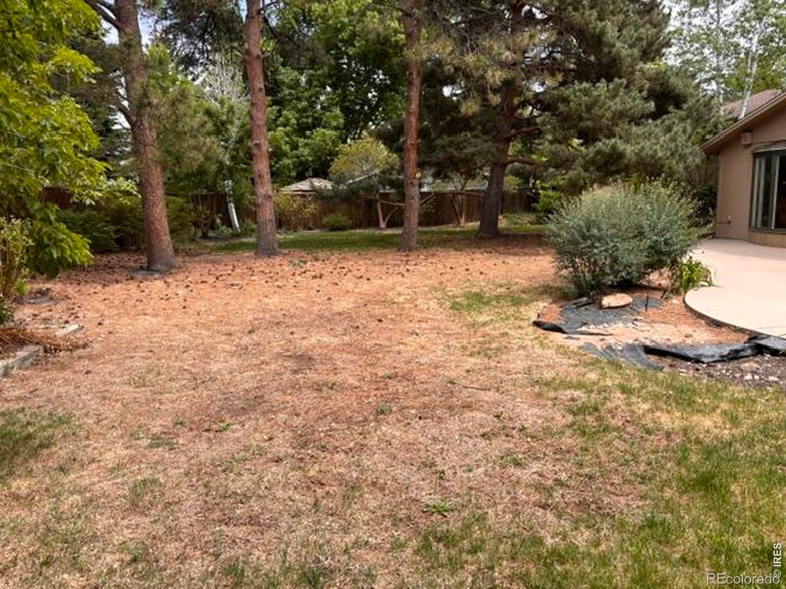 MLS Image #3 for 1409  meeker drive,fort collins, Colorado