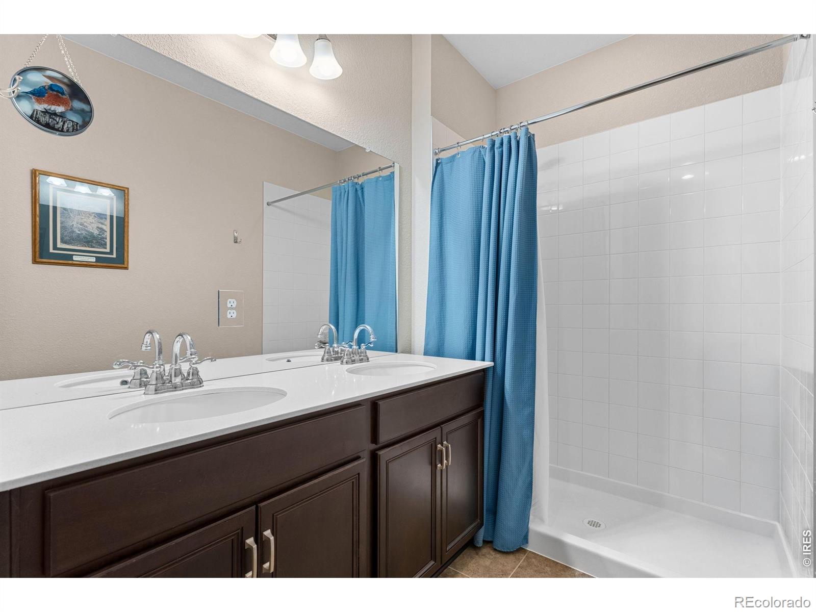 MLS Image #25 for 2431  cottongrass avenue,loveland, Colorado