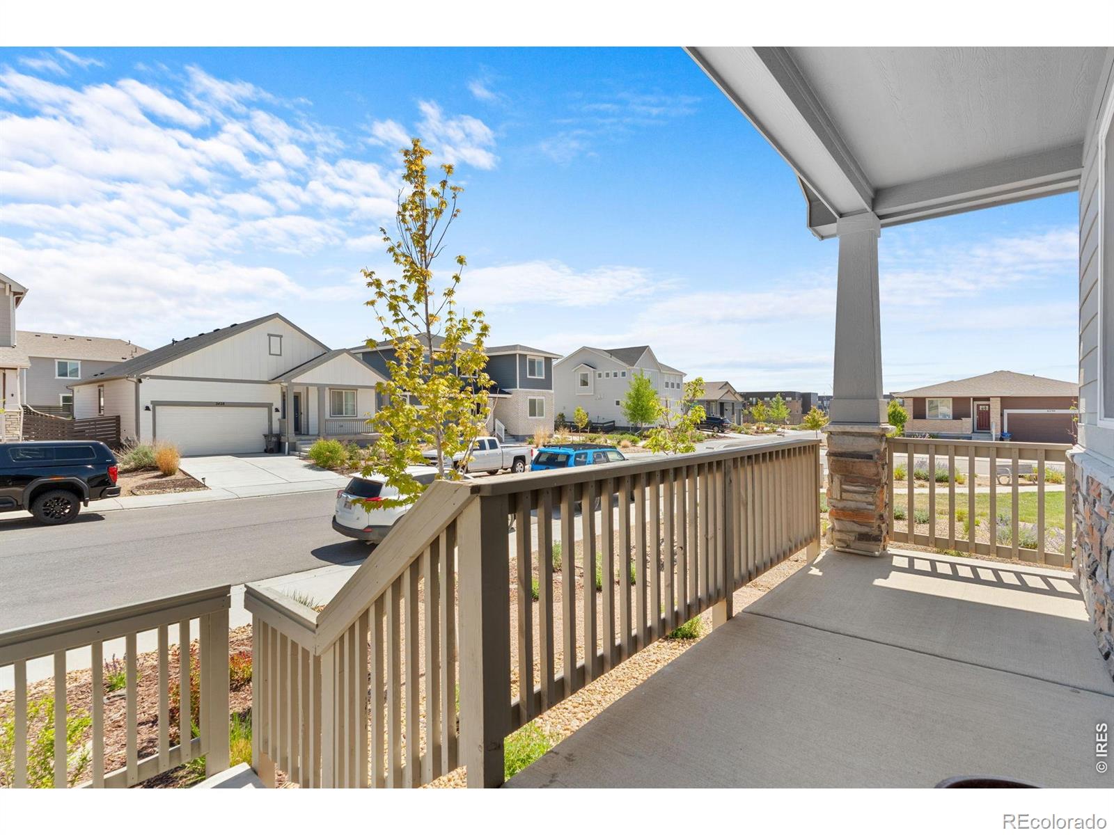 MLS Image #3 for 2431  cottongrass avenue,loveland, Colorado