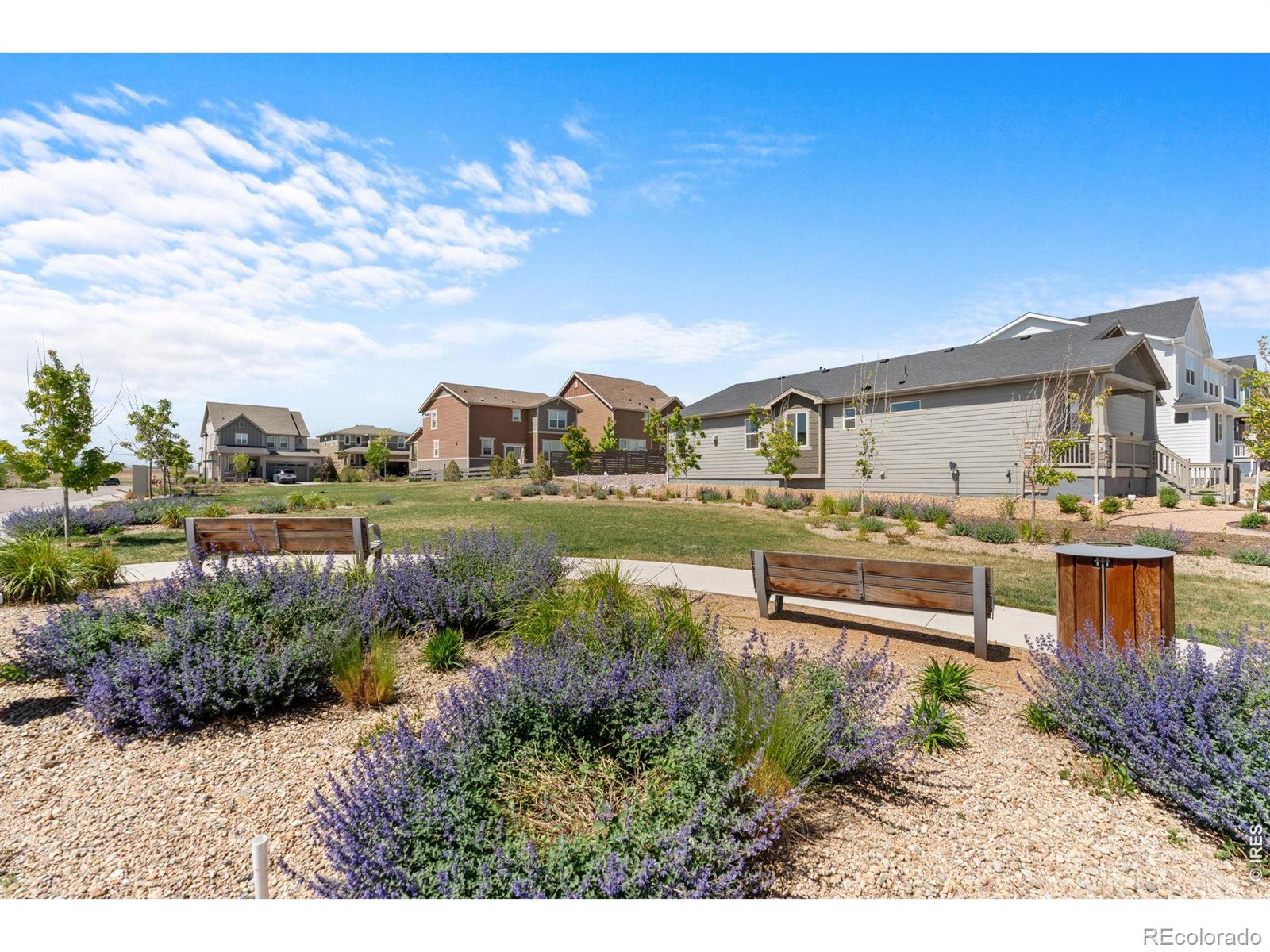 MLS Image #36 for 2431  cottongrass avenue,loveland, Colorado