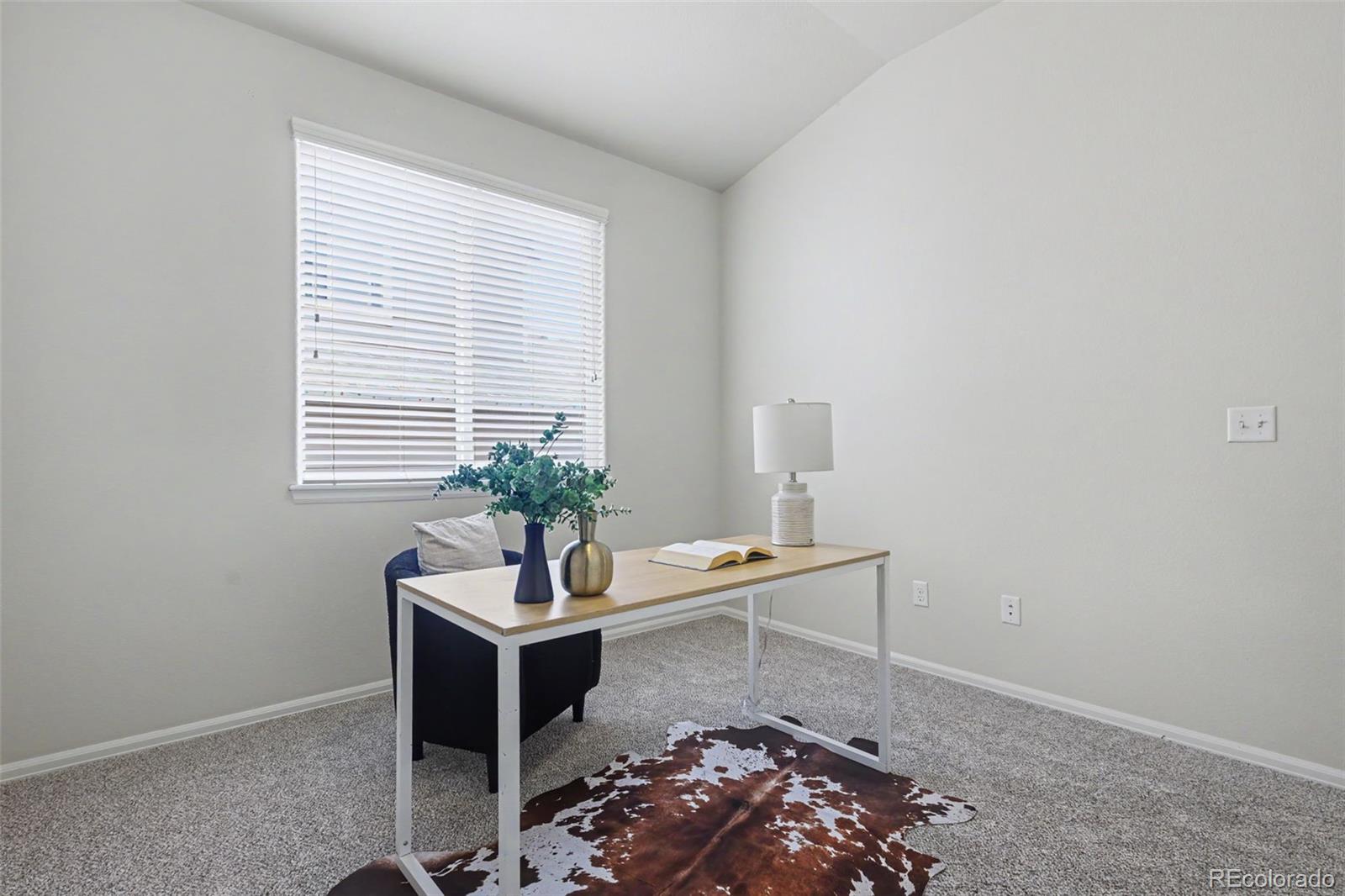 MLS Image #29 for 4621  keagster drive,colorado springs, Colorado