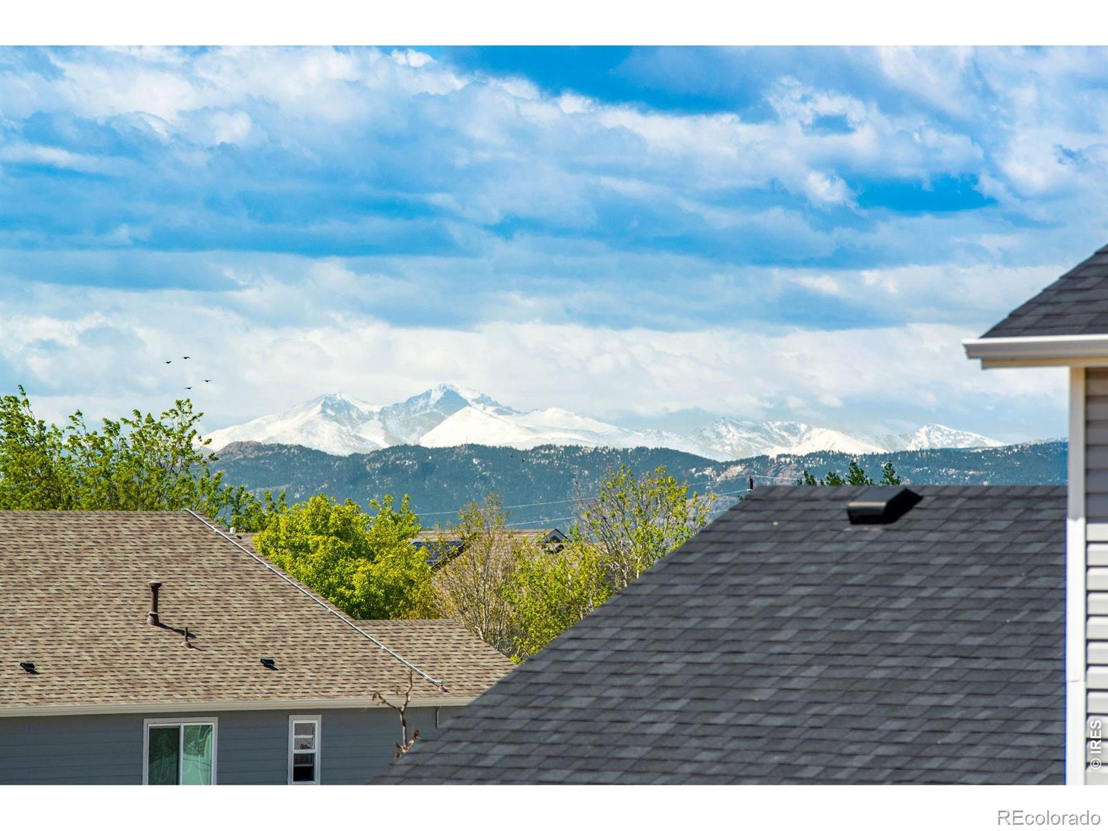 MLS Image #21 for 7035  mcclellan road,wellington, Colorado
