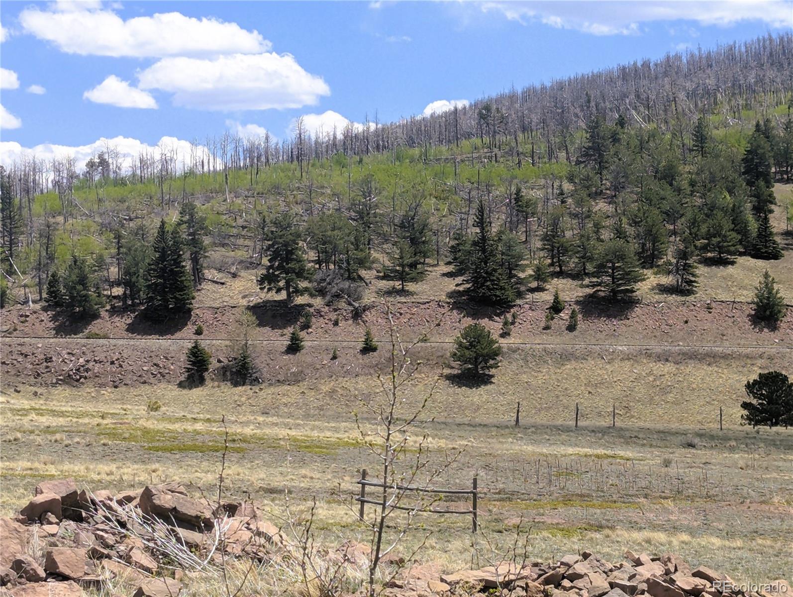 MLS Image #3 for 1670  cary lane,fort garland, Colorado