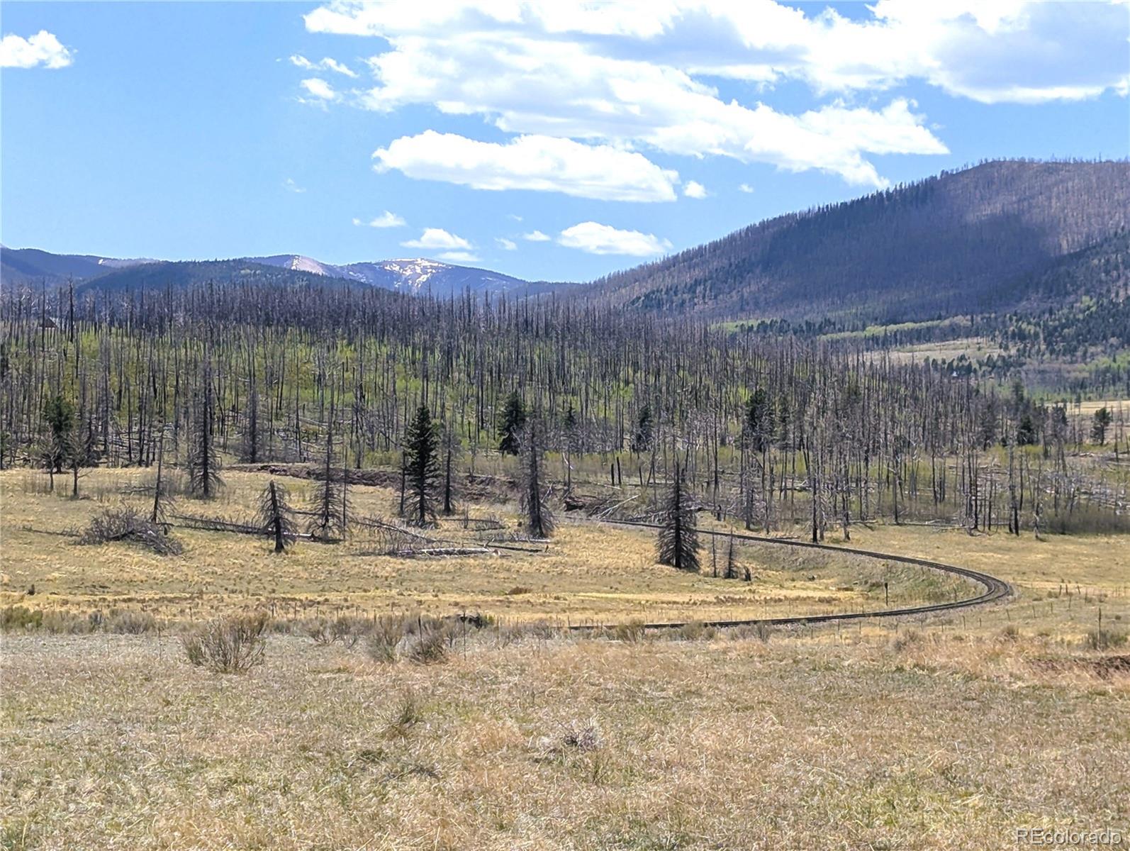 MLS Image #4 for 1670  cary lane,fort garland, Colorado