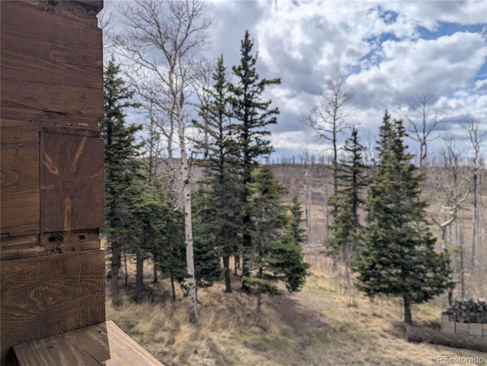 MLS Image #7 for 1670  cary lane,fort garland, Colorado