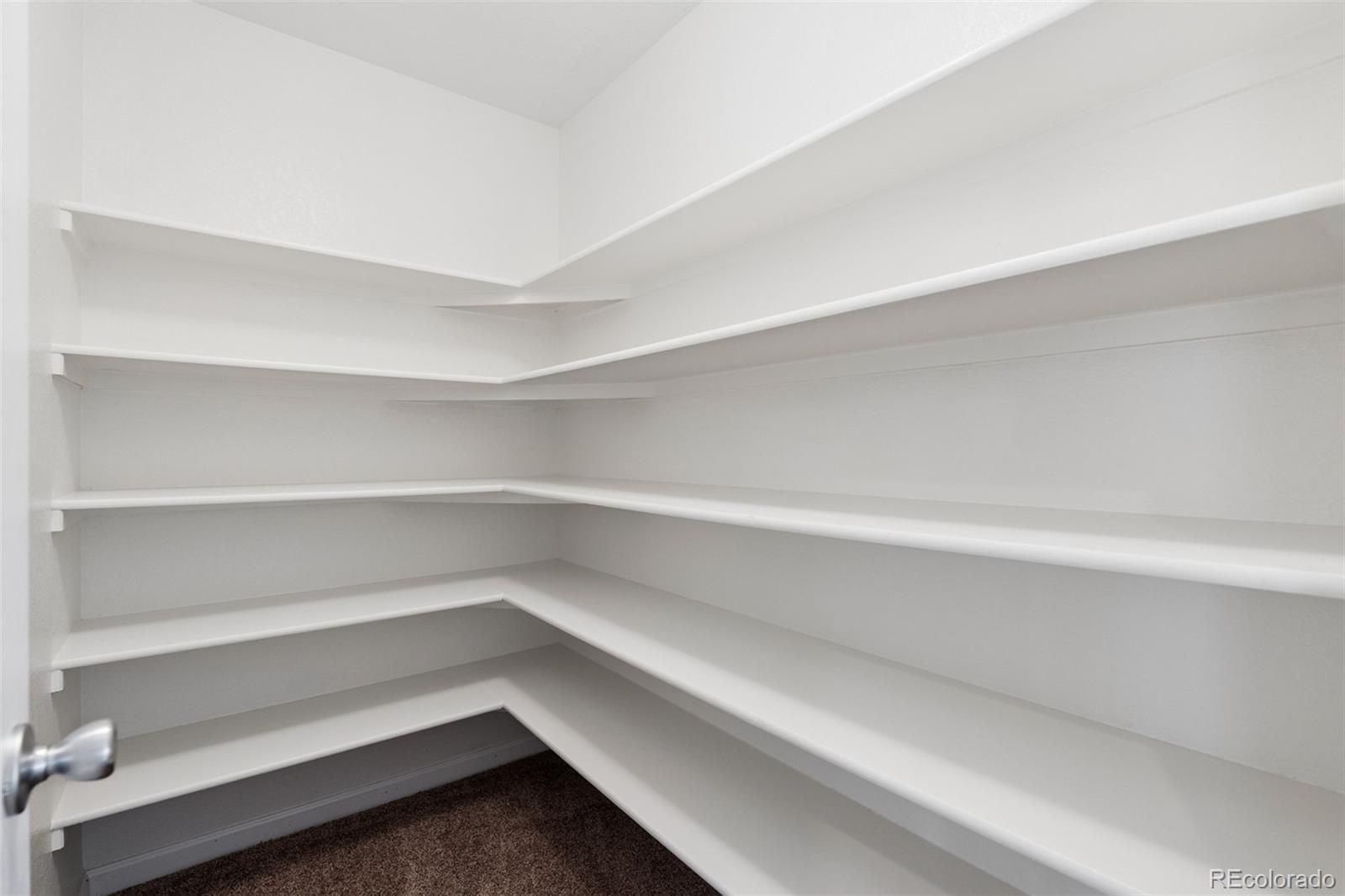 MLS Image #24 for 5033  liberty ridge,dacono, Colorado