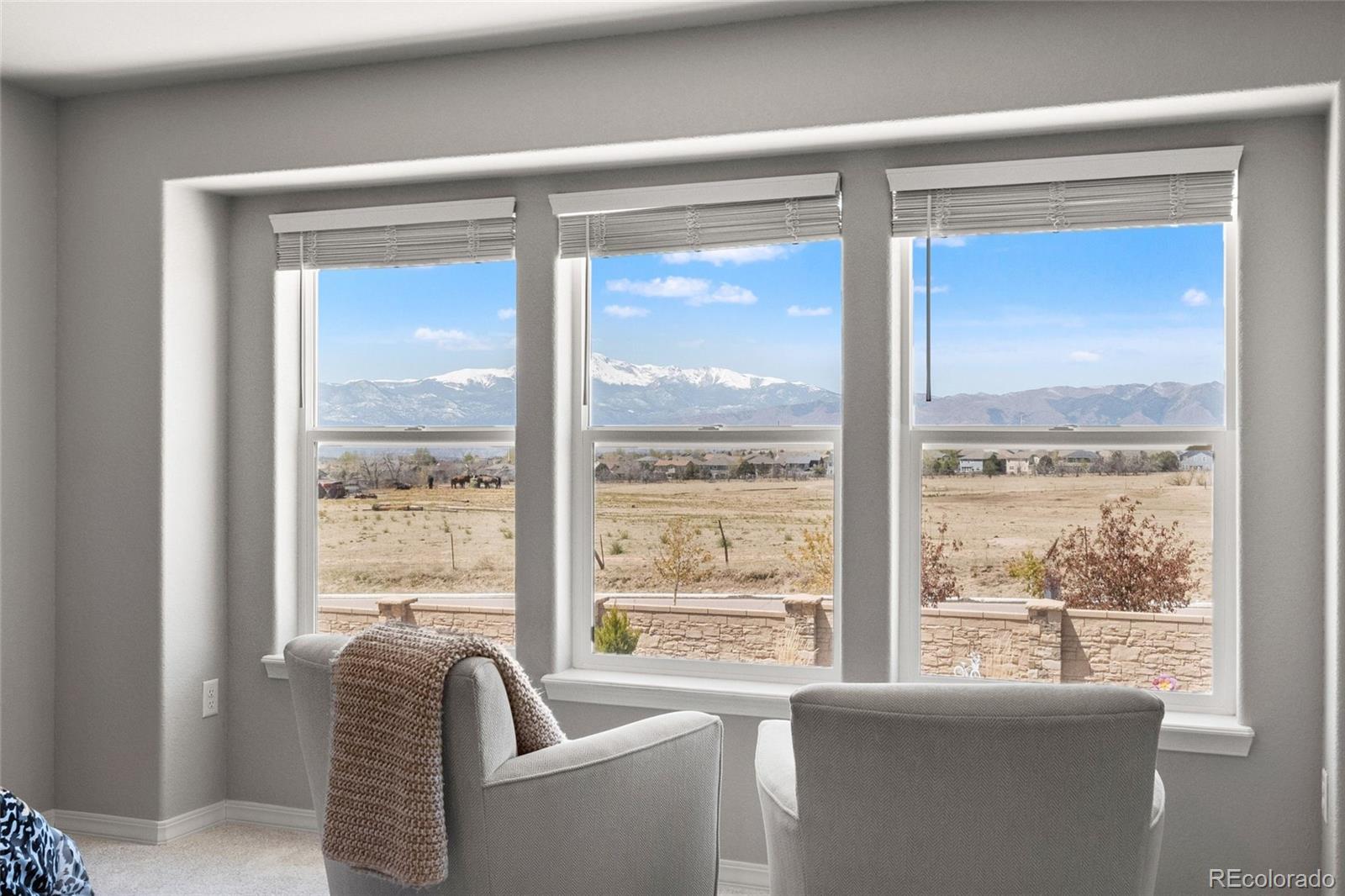 MLS Image #29 for 8412  noreen falls drive,colorado springs, Colorado