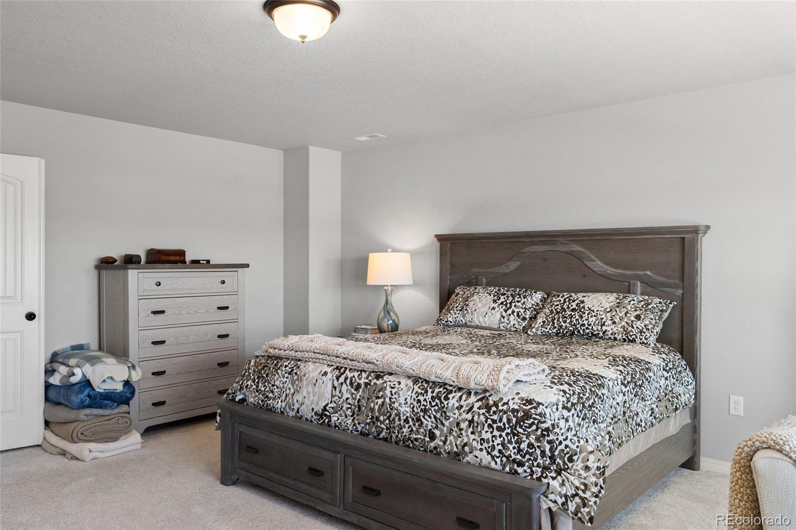 MLS Image #31 for 8412  noreen falls drive,colorado springs, Colorado