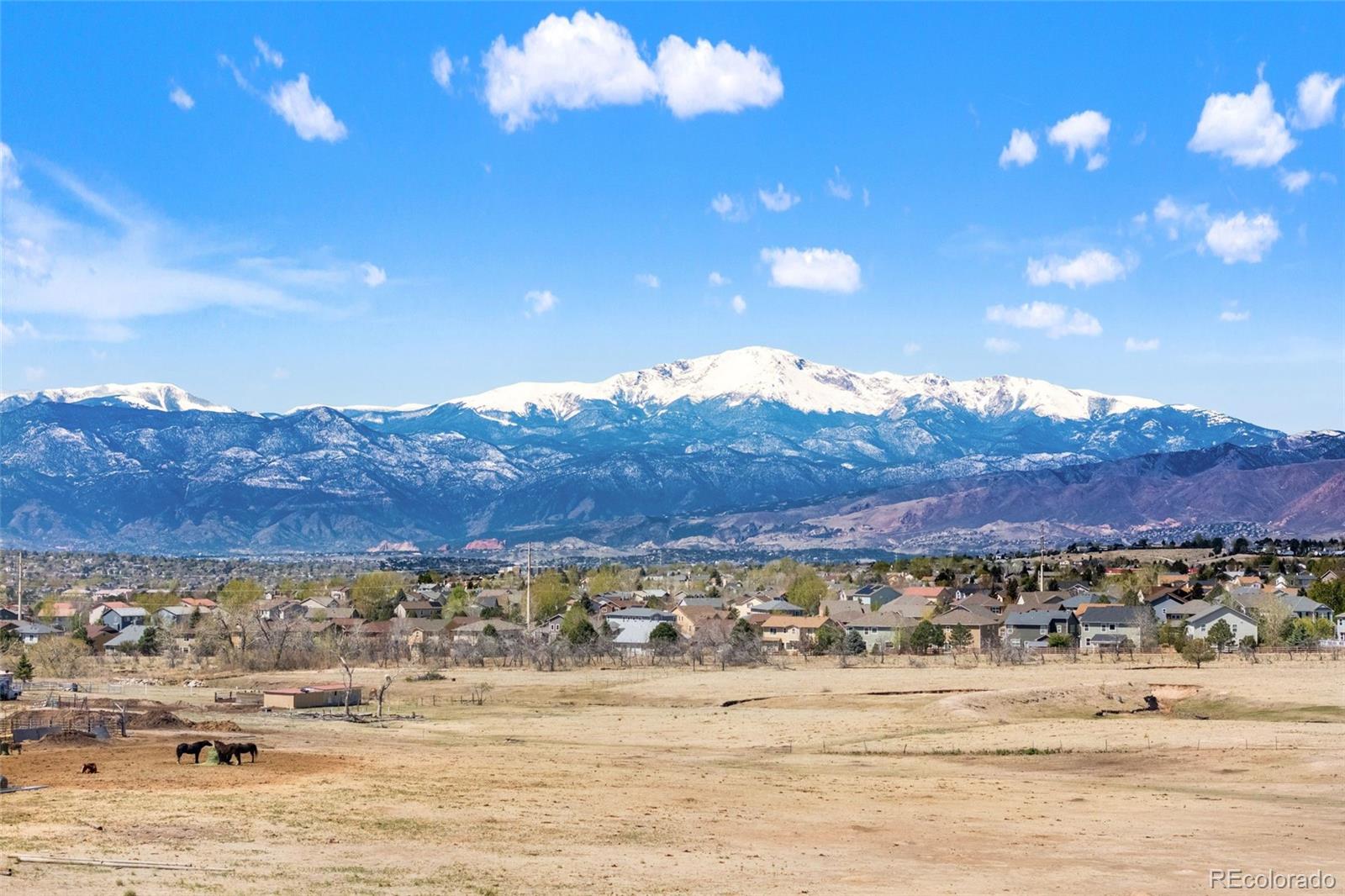 MLS Image #42 for 8412  noreen falls drive,colorado springs, Colorado