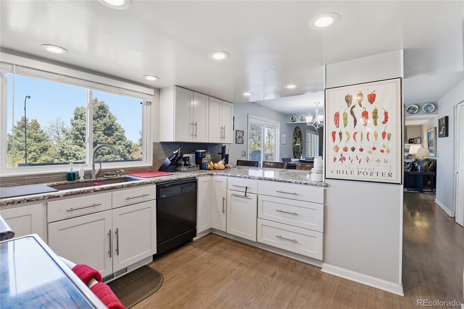 MLS Image #14 for 7942 s corona court,centennial, Colorado