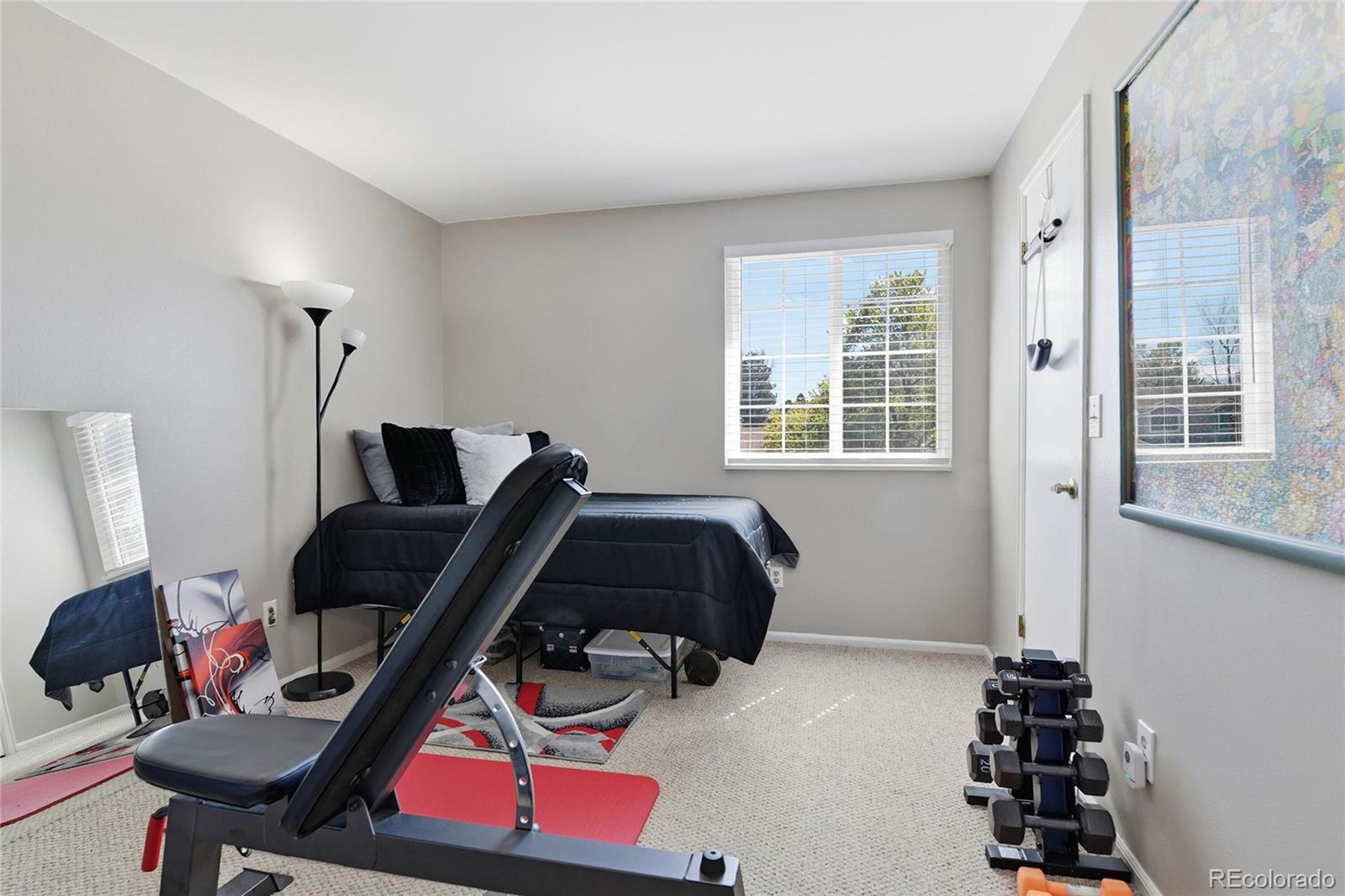 MLS Image #31 for 7942 s corona court,centennial, Colorado