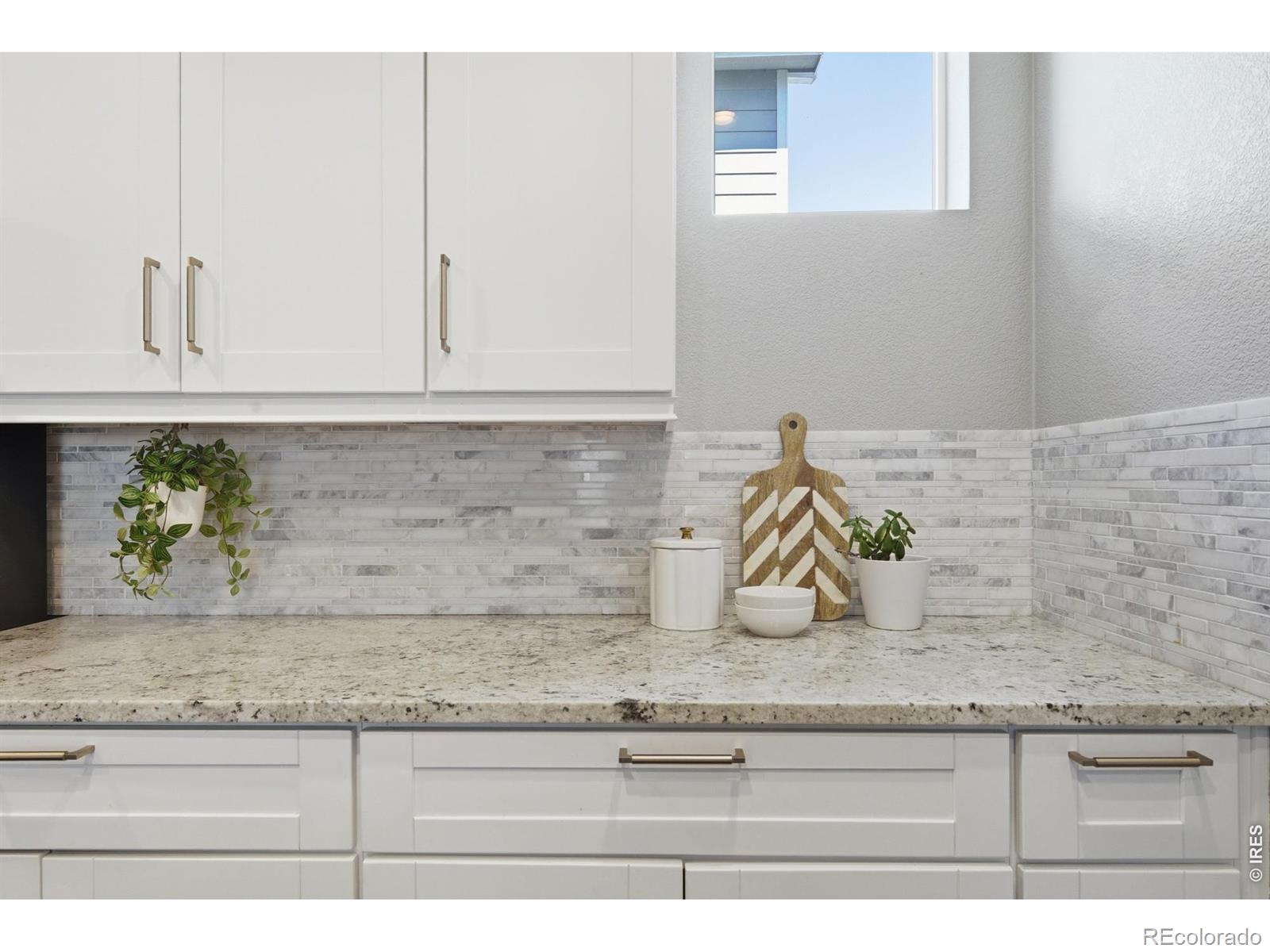 MLS Image #12 for 2080  harmony park drive,denver, Colorado