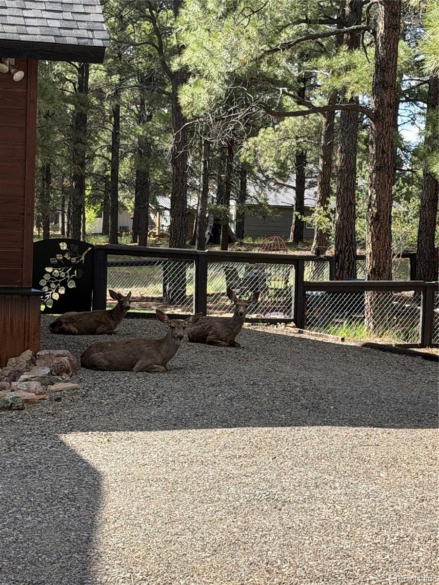 MLS Image #1 for 125  teakwood drive,pagosa springs, Colorado